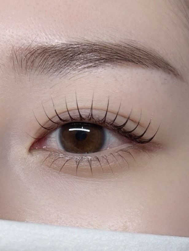 Signature precision lash look